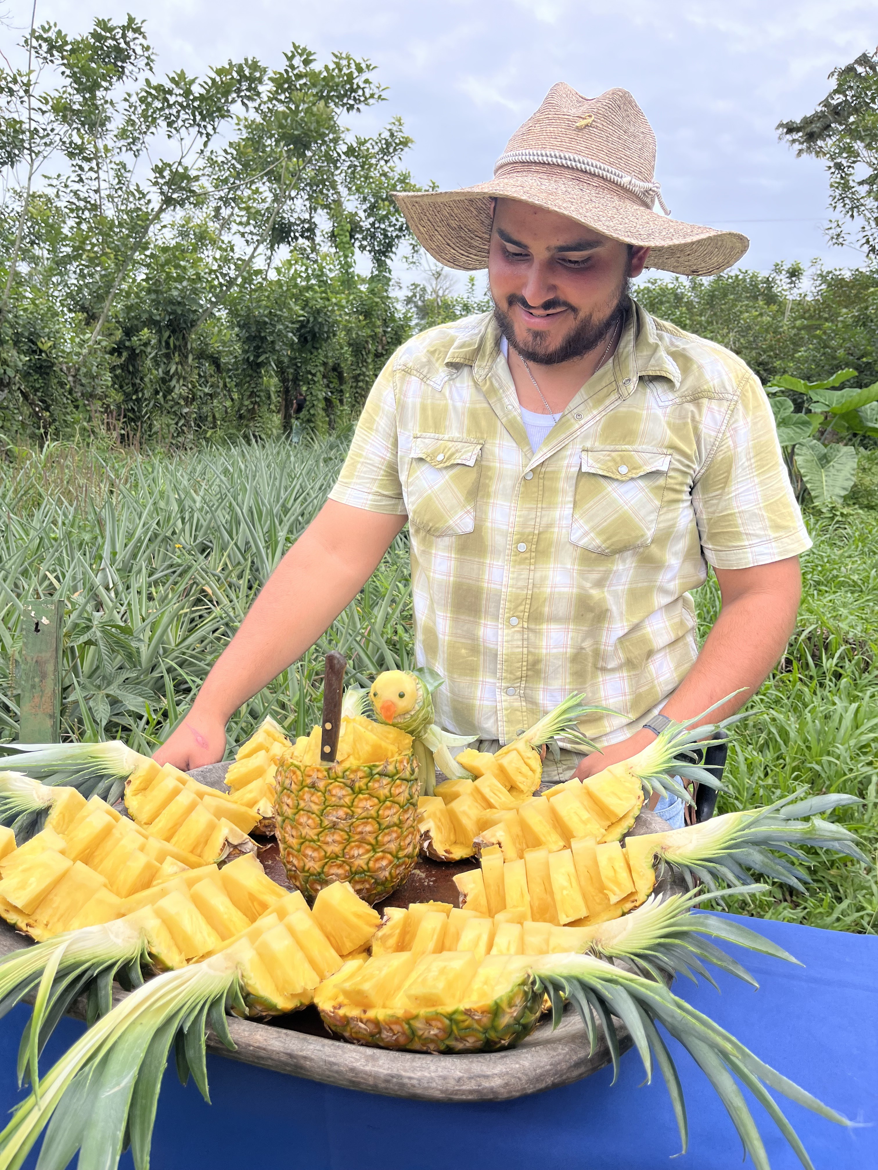 Photo 23 cut pineapple.jpeg